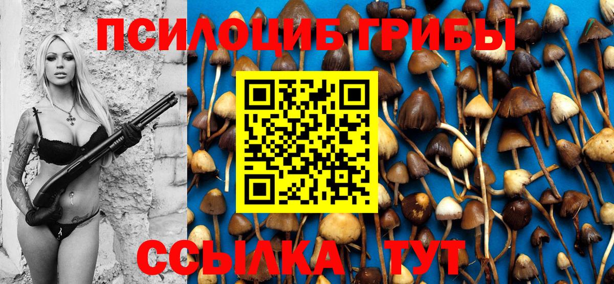 Псилоцибиновые грибы Psilocybe  Псилоцибиновые грибы мухоморы  Вход с VPN  Строитель 